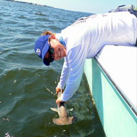 Jayne Gardiner, Senior Research Scientist